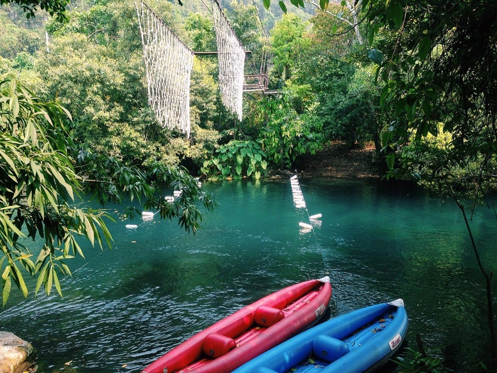 Quang Binh: Into the Heart of Vietnam’s Natural Wonders 4 Midday Jungle Oasis and Forest Serenity