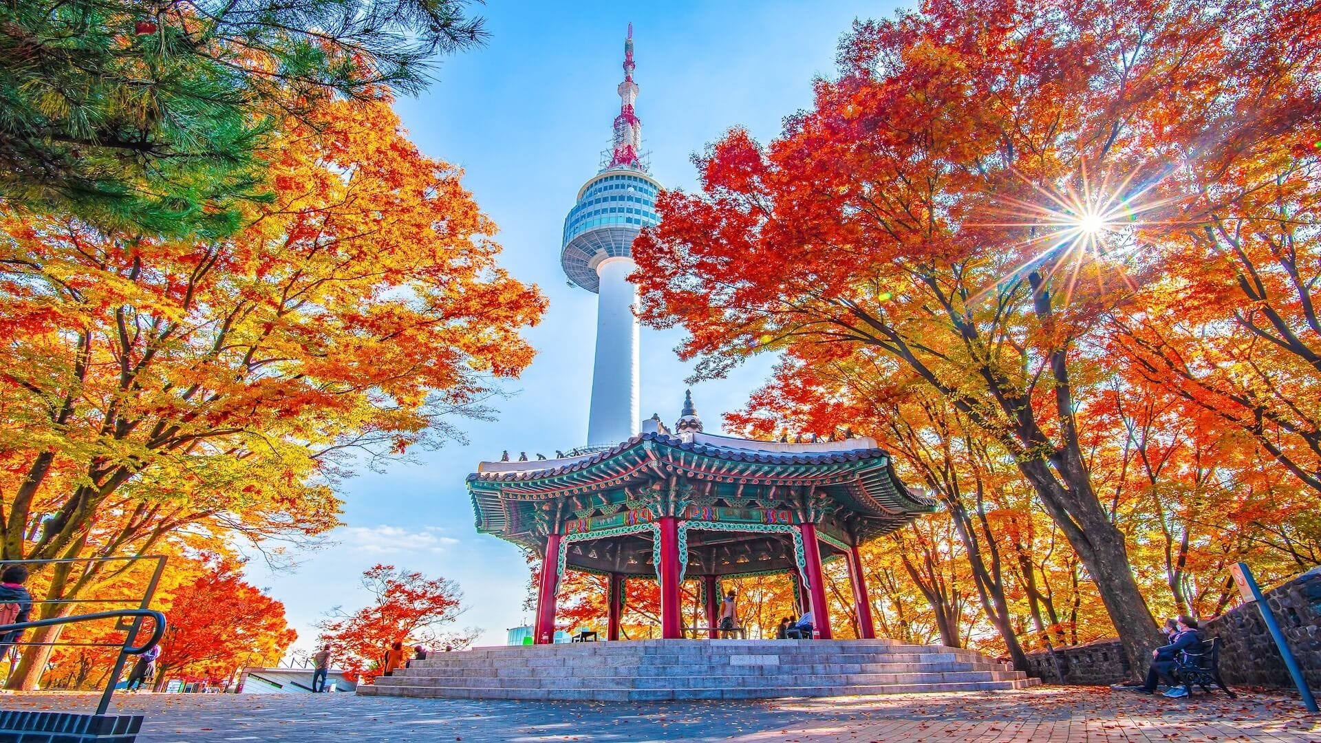 Incredible Destinations to Try Solo Travel in Asia 13 south korea 1