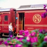 sjourney outside 1