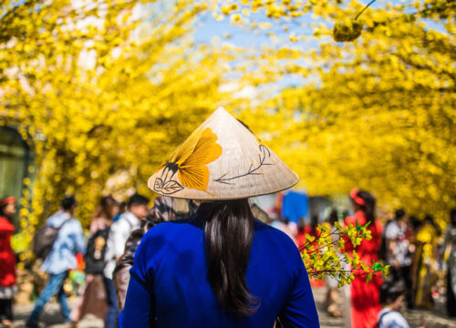 Best Places to Visit in Vietnam During Tet by Train: SJourney Travel Guide 75 Best Places to Visit in Vietnam During Tet by Train: SJourney Travel Guide