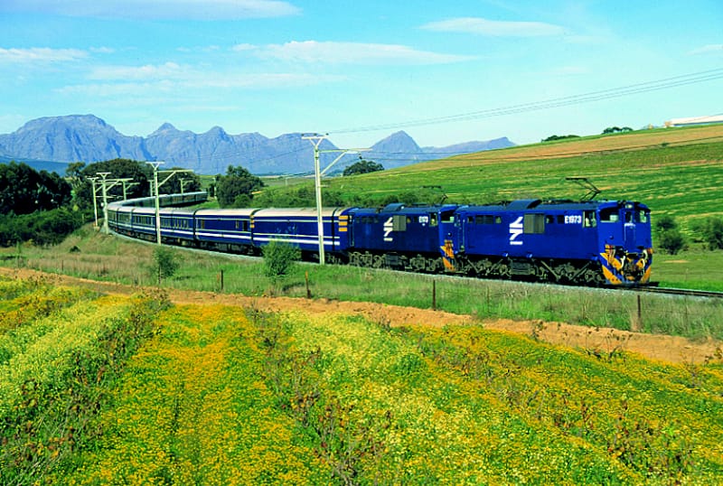 The World's Most Scenic Train Journeys 10 Blue-Train-past-Hyde-flowers
