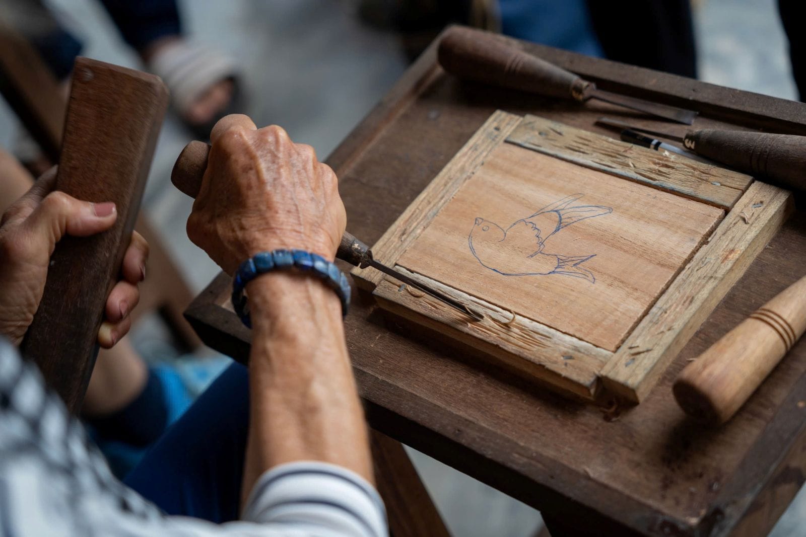 The Ultimate Luxury Train Journey Across Vietnam 7 Why Do Travelers Choose SJourney